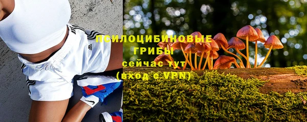 бошки Карталы